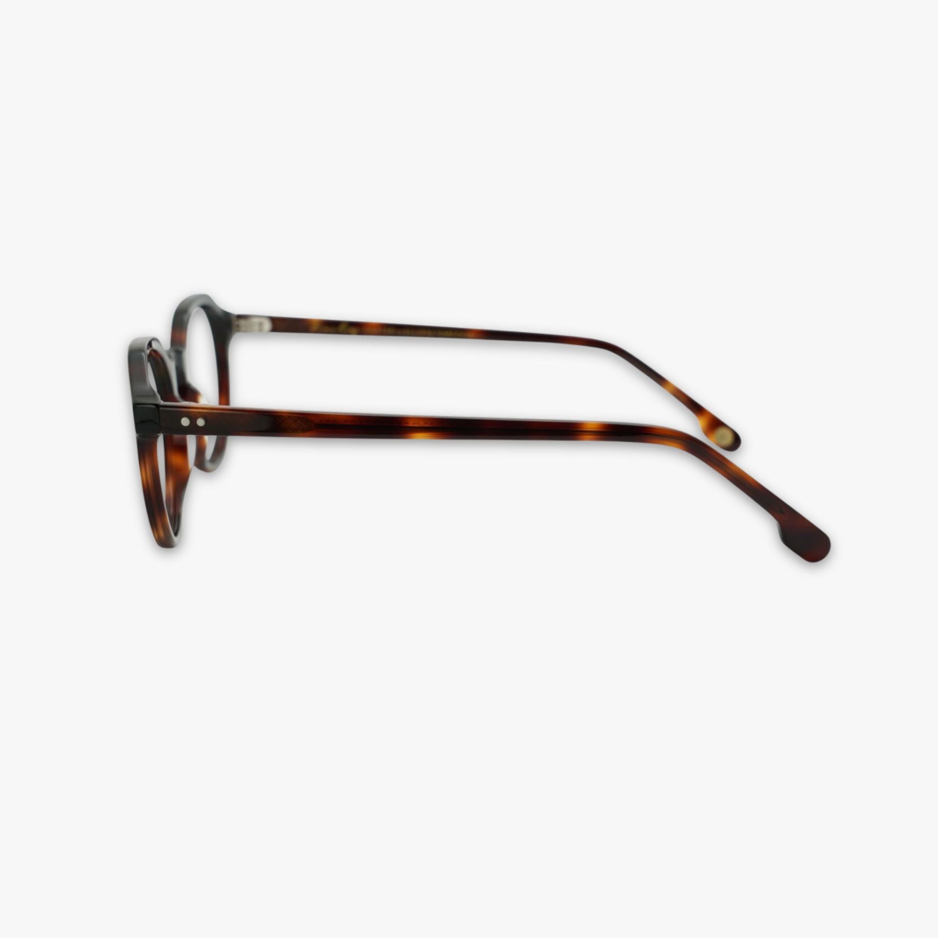 Carter - Eclipse Tortoise