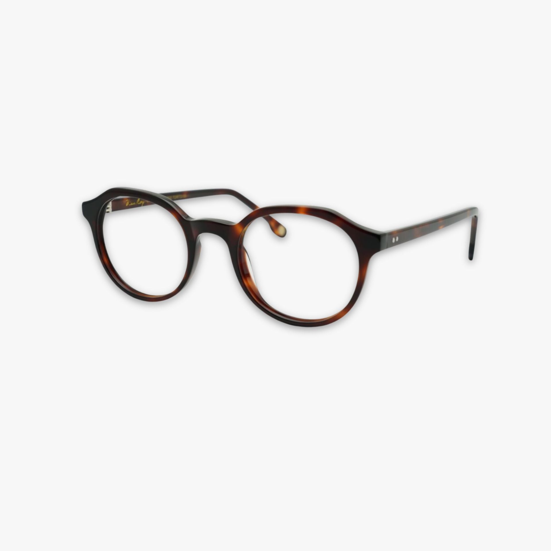 Carter - Eclipse Tortoise