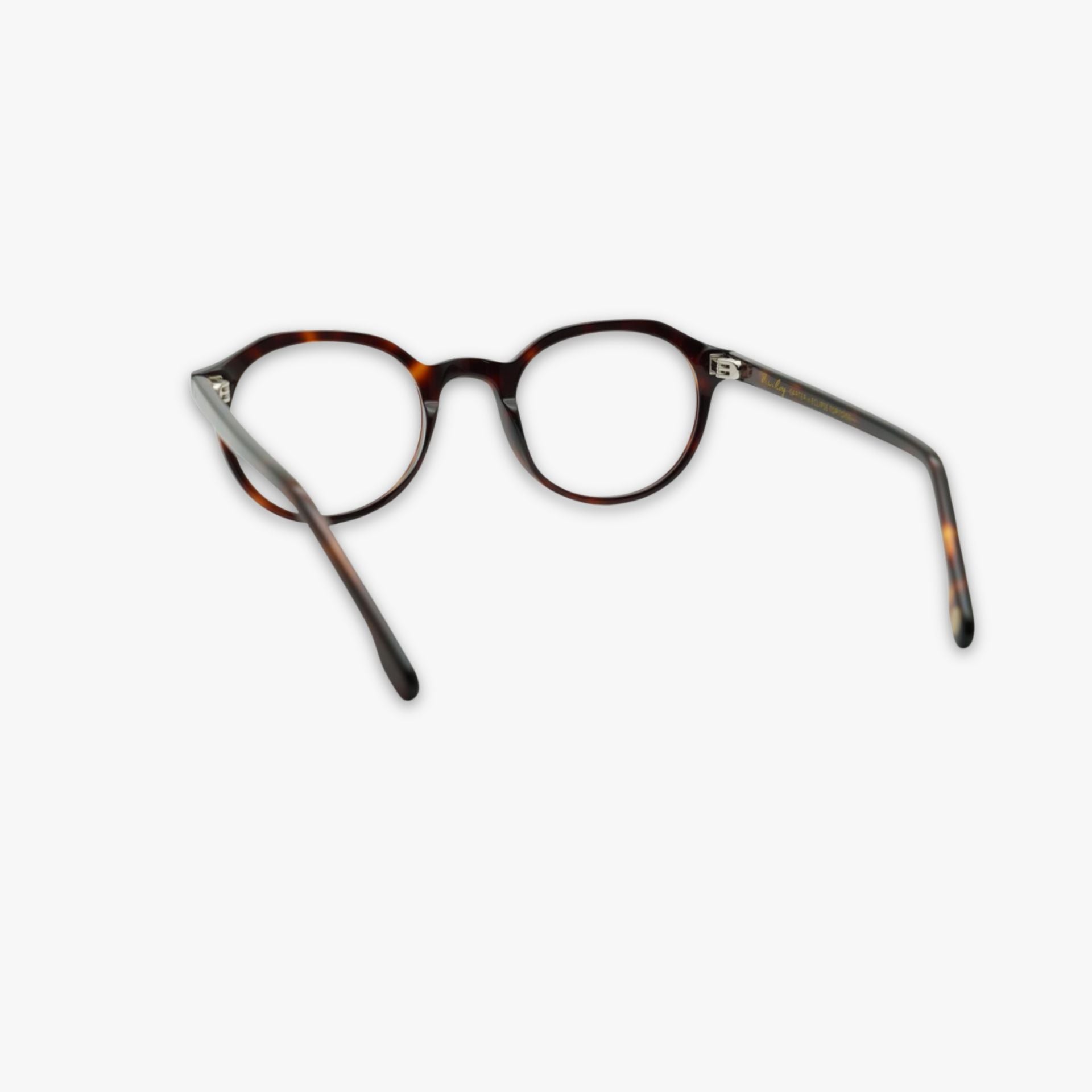Carter - Eclipse Tortoise