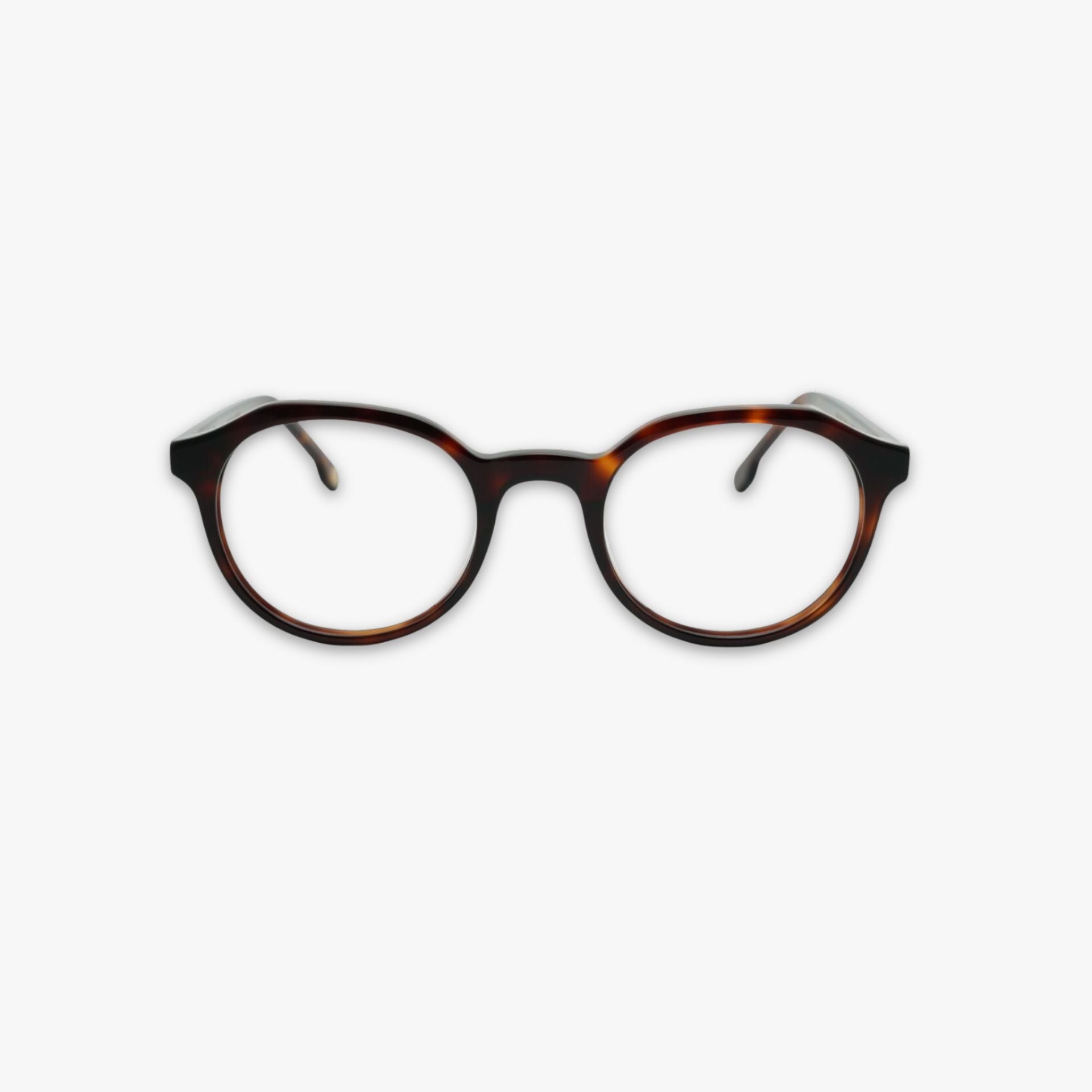 Carter - Eclipse Tortoise