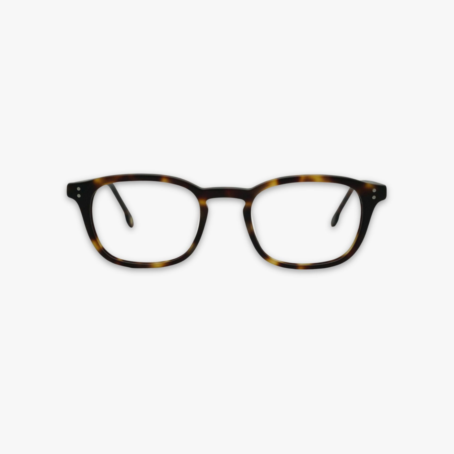 Dale - Eclipse Tortoise