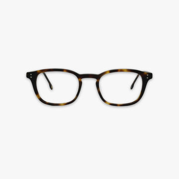 Dale - Eclipse Tortoise