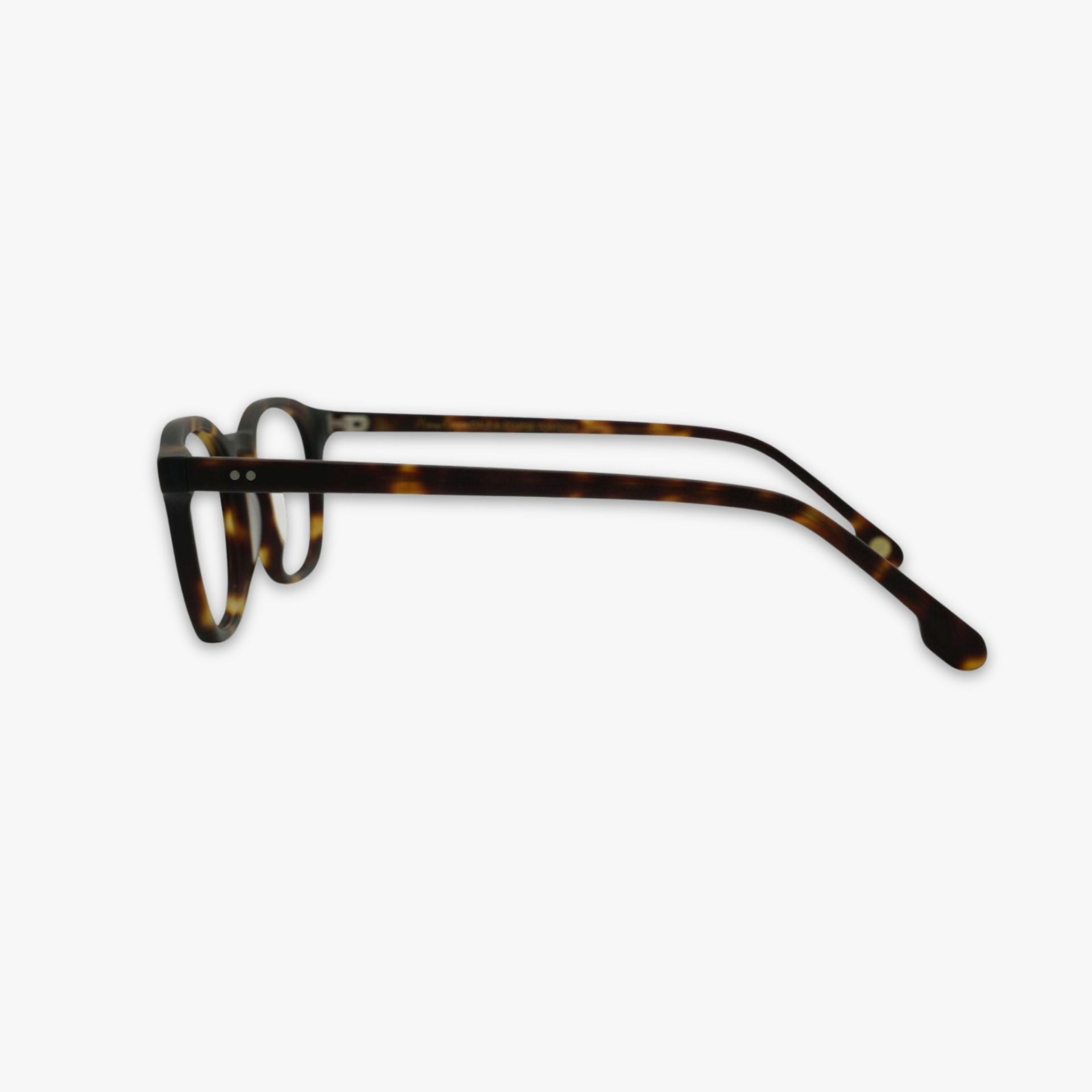 Dale - Eclipse Tortoise