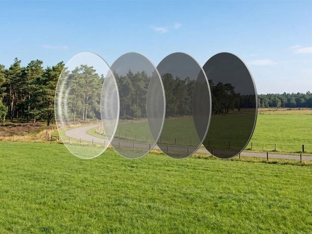 Meekleurend (Photochromic)